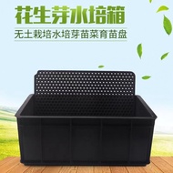 Manufacturer Hydroponic Peanut Sprout Box Planting Plate Black Peanut Sprout Seedling Plate Acupoint
