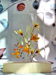 手作押花療愈LED小夜燈 | 植物小夜燈