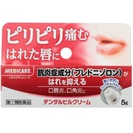 森下仁丹 Medicare 嘴唇消炎軟膏 5g【指定第2類醫薬品】