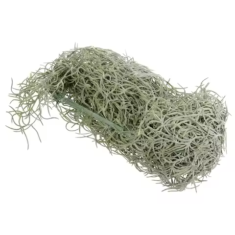 Hanging Decor Artificial Dried Flowers Preserved Moss Sphagnum Landscaping Plant Decor Prop Festive 