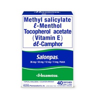 Salonpas Medicated Patch (40 Patches)