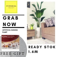 [READY STOK] POKOK VIRAL ARTIFITIAL BANANA PLANT(FREE GIFT SET MAMA GLASS MUG)