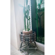 Outdoor wooden plant stand / Native plant stand