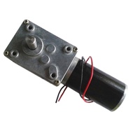 DC 24V  10rpm micro worm Geared Motor with Self-locking function , robot Worm Gear Moto, Electric ge
