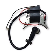 328 CDI/ coil ign + spark plug cap