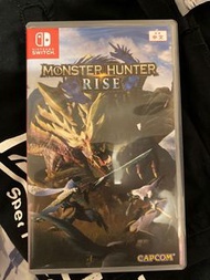 Monster Hunter rise