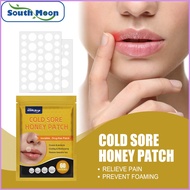 South Moon Mouth Blister Patch Relieves Shrinkage Around Lips Granular Hydrocolloid Blister Patch Li