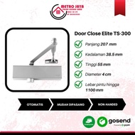 Door Closer Elite TS 300