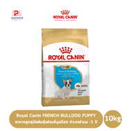 Royal Canin FRENCH BULLDOG PUPPY อาหารลูกสุนัขพันธุ์เฟรนซ์บูลด๊อก ช่วงหย่านม -1 ปี ขนาด 10 KG.