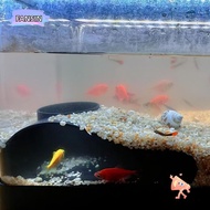 FANSIN1 Aquarium Decoration Tunnel Caves, Under Gravel Tunnel Curve Aquarium Underground Tunnel Cave