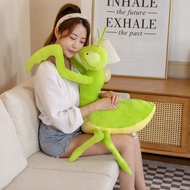 Creative Funny Soft Insect Series S Straw 3D Praying Mantis P 11.27
