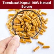 Temulawak Capsules 100% Natural Organic Herbs 100 Seeds Factory Direct Price