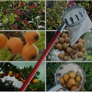 Fruit Picker, Fruit Picker, Fruit Picker, Fruit Cathcer