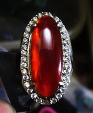 Natural Red Baron Red Jendral origin Pacitan HQ Natural Alam NO DYET