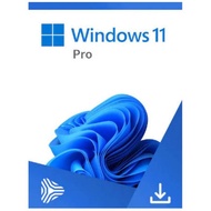 Windows 11 Pro - Windows 10 Pro - Original