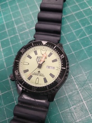 Citizen 雞泡 Promaster Fugu 1989 limited 限量