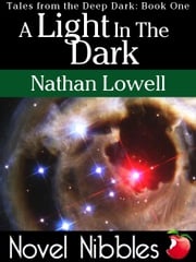 A Light In The Dark Nathan Lowell