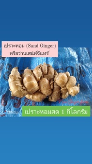 เปราะหอมสด หรือว่านเสน่ห์จันทร์(Fresh Sand Ginger)1 กิโลกรัม