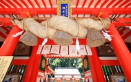 Kumano Kodo Two-Day Pilgrimage: Kumano Nachi Taisha & Hosshinmon-oji & Kumano Hayatama Taisha & Kuma