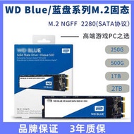 WD/西部數據Blue藍盤250G 500G西數固態硬盤M.2 2280 SATA協議SSD