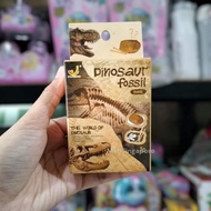 Dinosaur Fossil Bone