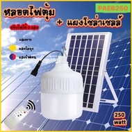 PAE-6250 250W LED Solar Bulb with Adjustable Brightness High-Quality Outdoor Lighting Integrated Sol