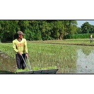 alat tanam padi manual (transplanter manual)