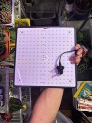 LED 植物生長燈 補光燈 園藝燈