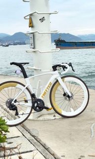 Twitter 公路車 全碳纖 電變