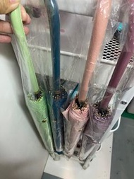 16骨直傘