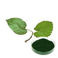 1000g Chlorophyll powder Mulberry leaf extract/叶绿素/HALAL certificated