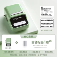 Niimbot | Home Use Multi-functional Thermal Label Printer B21