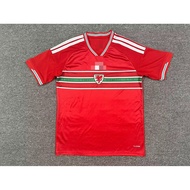 2026-27 Fan World Cup Wales Home Jersey Short Sleeved T-Shirt