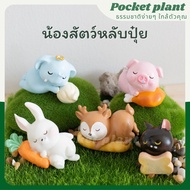 Animal Sleeping Fertilizer Miniature Garden Decoration Dolls Tray House Model [DolA-L-007]