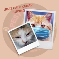 UBAT CAIR KAHAK KUCING