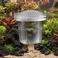 LKBENNETT Fish Breeding Isolation Box, Transparent Detachable Aquarium Breeder Box, Breeder Feeder P