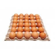 FRESH BROWN EGG GRADE A 30'S