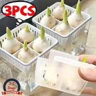 [3-5 DAYS DELIVERY]Tulip Grow Kit Clear Acrylic Square Basin Root Check Strong Stable 4Hole Basket B