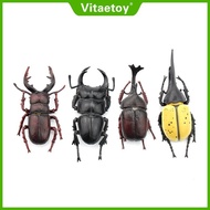 Vitaetoy Simulated specimen model of insect beetle Unicorn beetle, saw beetle, long-horned beetle, b