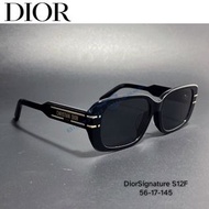 【六月特惠】Dior DiorSignature S12F 尺碼：56-17-145 醋酸纖維橢圓形太陽鏡