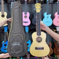 UKULELE CONCERT 23INCH NATIVA GOLD FACE