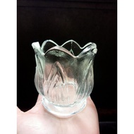 Tulip cups box of 6