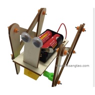Science toys - Wooden spider toys