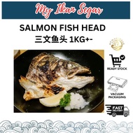 Whole Head Norway Salmon Fish Head 1KG 三文鱼头 Norwegian Fjord Trout Salmon fish head