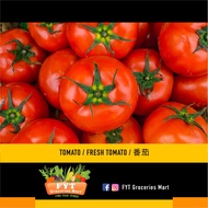 FYT GROCERIES - VEGETABLE - FRESH TOMATO / 番茄