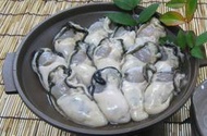 【火鍋系列】日本岡山播磨灘牡蠣清肉3L(5顆)/約205g±5%(淨重130g)/包