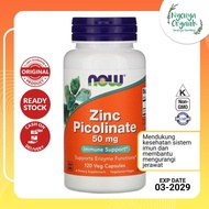 Terbaru Vitamin Mineral Zinc Picolinate 50 Mg Now 120 Veggie Kapsul