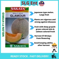 [ 100 Seeds ] GLAMOUR Sakata Seed Corporation Japan Biji Benih Tembikai Susu Manis Jepun F1 Hybrid Rock Melon Seeds