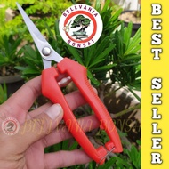 Scissors, fruit flower branches and twigs