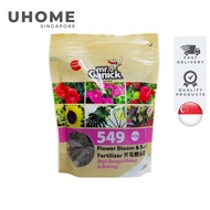 BABA Mr Ganick 549 Flower Bloom Fertilizer (400g)